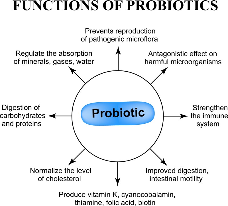 Probiotics for immune system